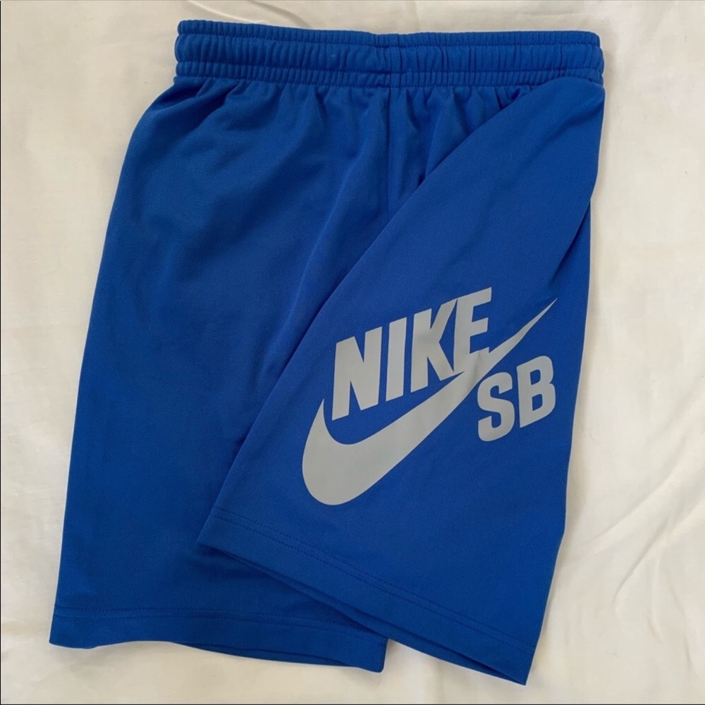 Nike SB Dri-Fit Shorts